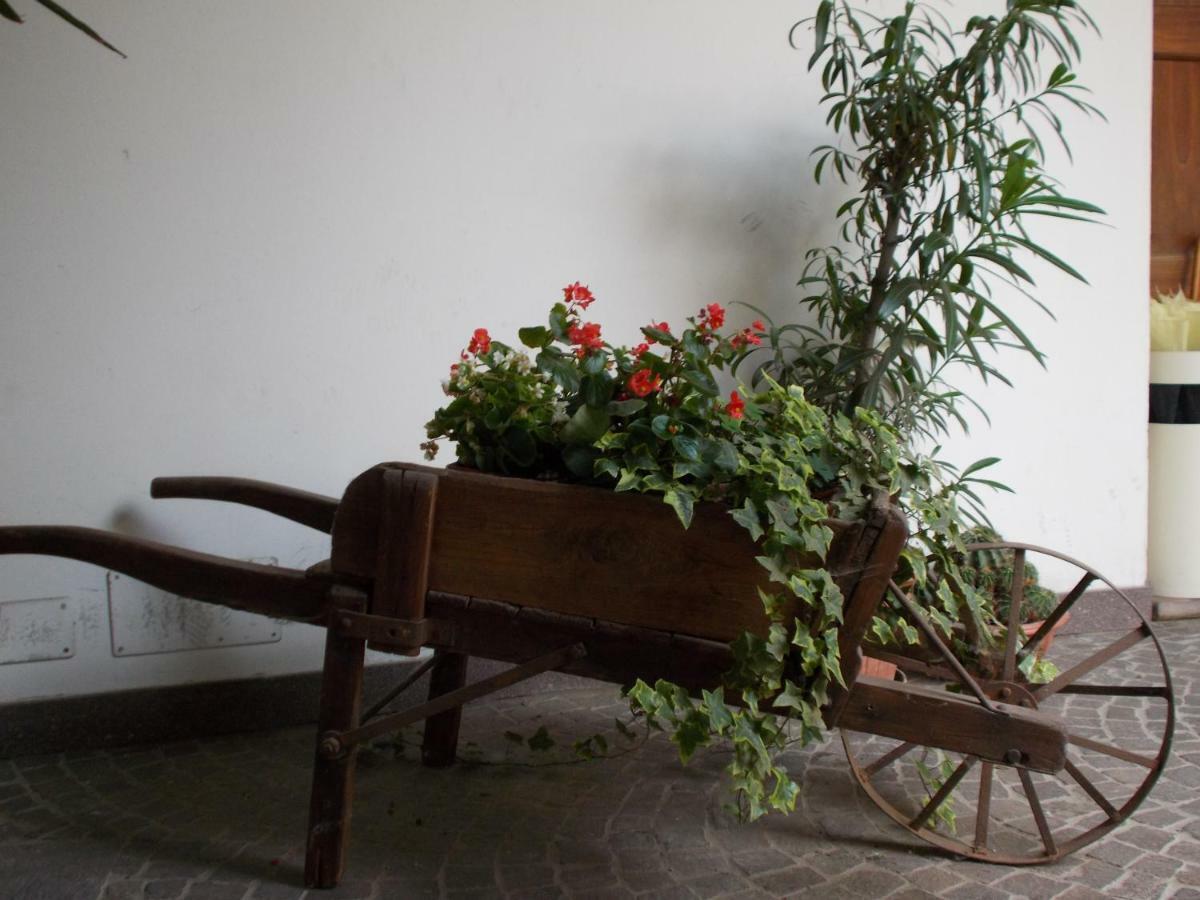 “La Loggia” Apartment Casale Monferrato Exterior foto